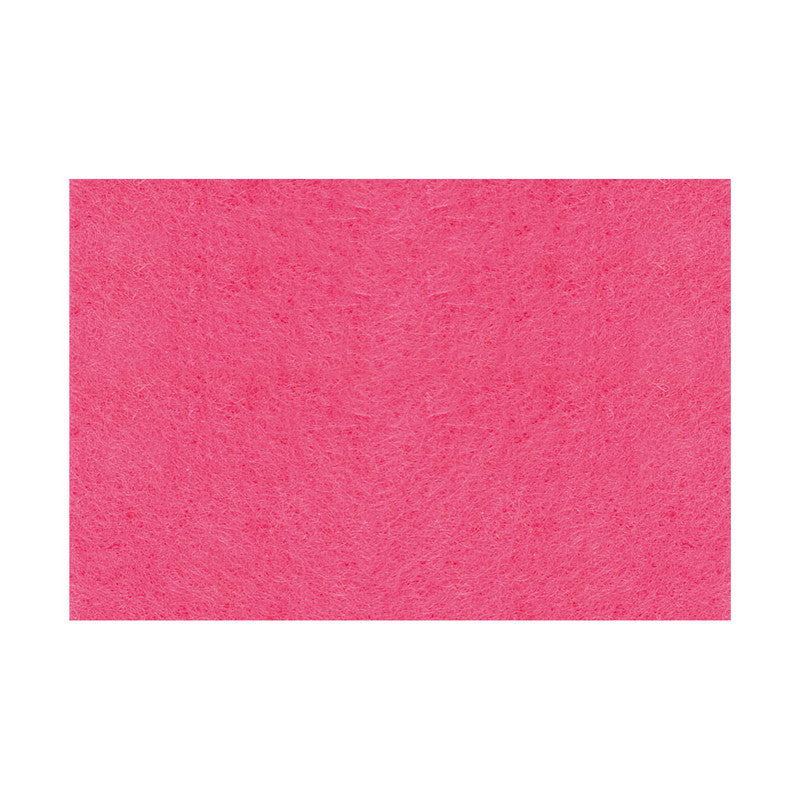 Fieltro Rico 20x30cm - 10 unidades