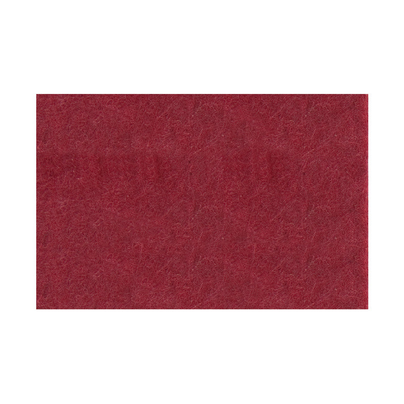 Fieltro Rico 20x30cm - 10 unidades