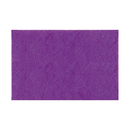 Fieltro Rico 20x30cm - 10 unidades