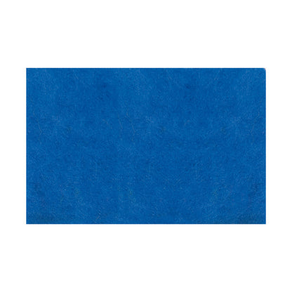 Fieltro Rico 20x30cm - 10 unidades