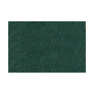 Fieltro Rico 20x30cm - 10 unidades