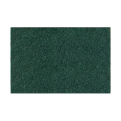 Fieltro Rico 20x30cm - 10 unidades