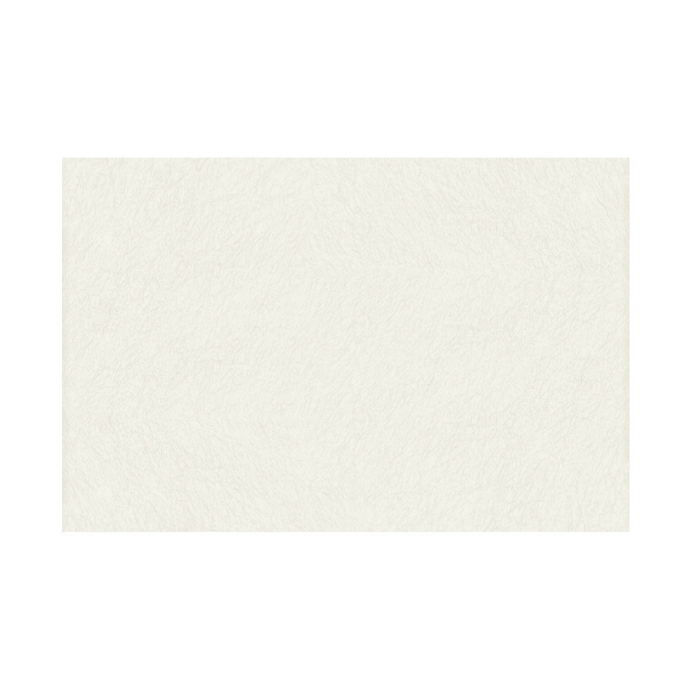 Fieltro Rico 20x30cm - 10 unidades