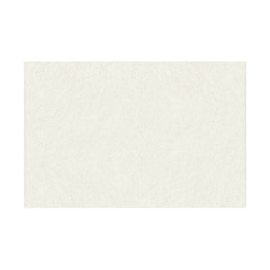 Fieltro Rico 20x30cm - 10 unidades