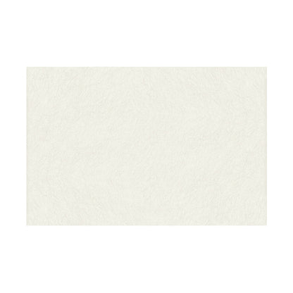 Fieltro Rico 20x30cm - 10 unidades