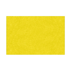 Fieltro Rico 20x30cm - 10 unidades