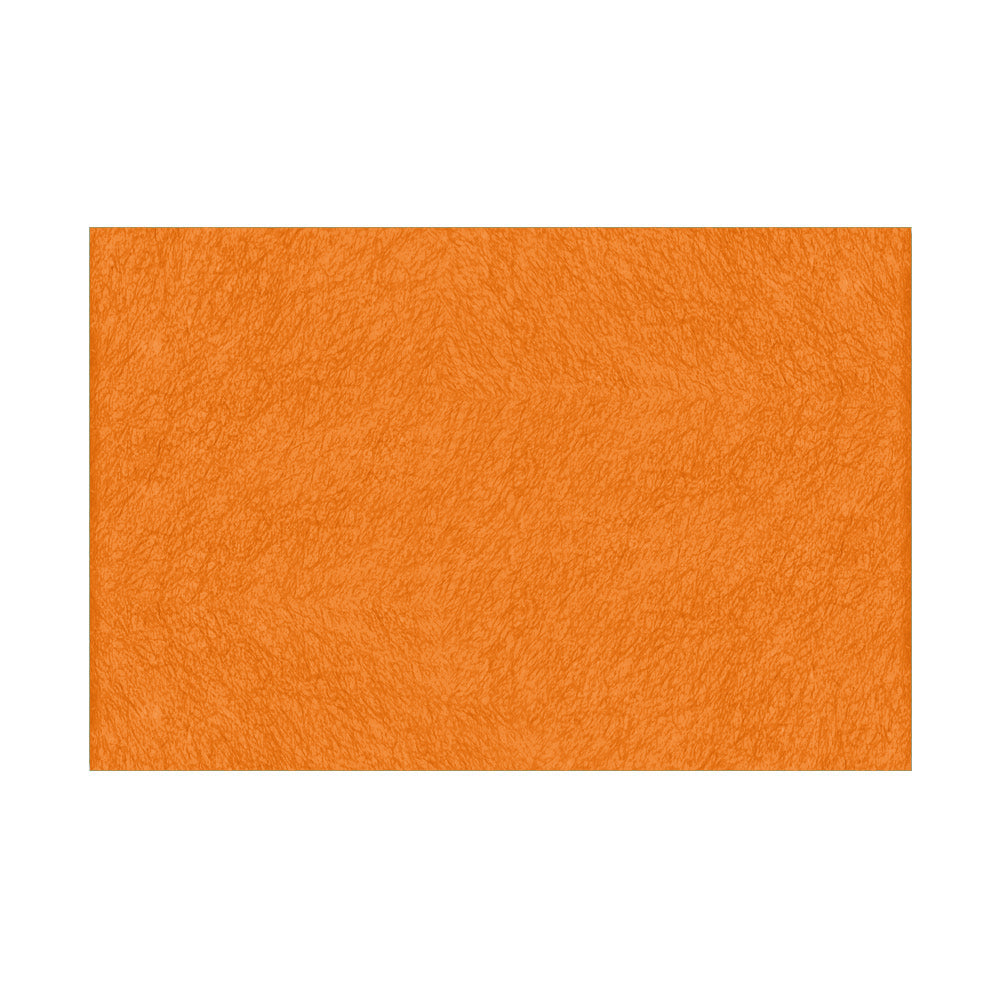 Fieltro Rico 20x30cm - 10 unidades