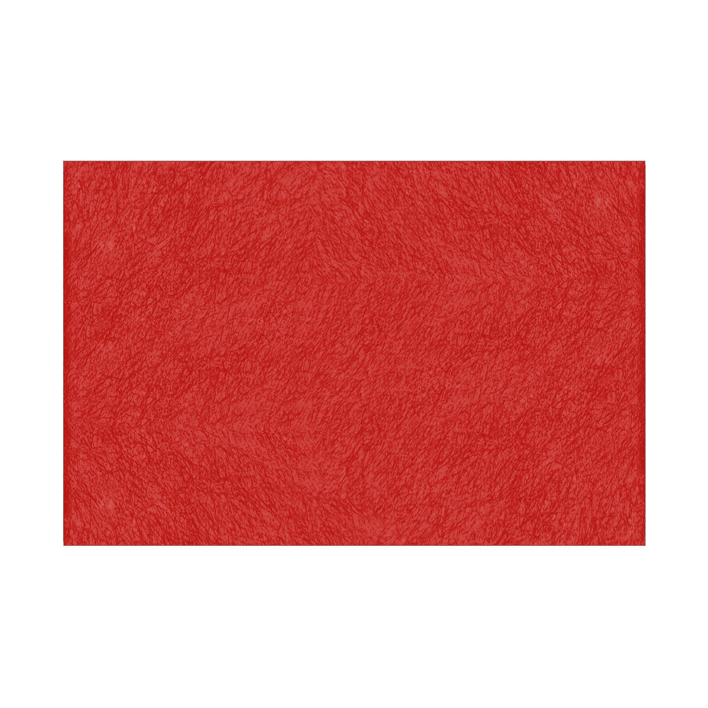 Fieltro Rico 20x30cm - 10 unidades