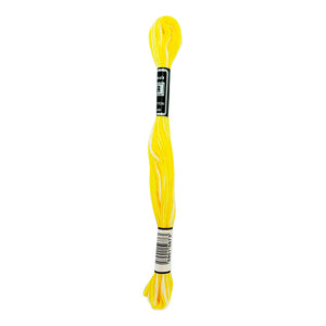 Hilos Para Bordar Mulina - Variedad Multicolor - 12 Unidades